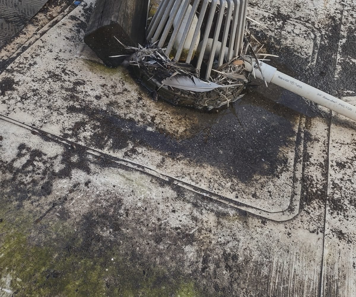 BBDRE’s Daily Inspections